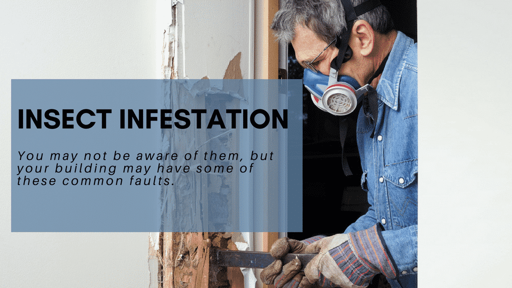 7 Common Faults Seen in Building Inspections - Building Inspections